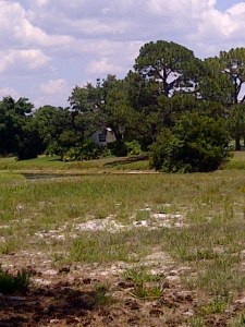 Grove City-Rotonda-20120523-00540