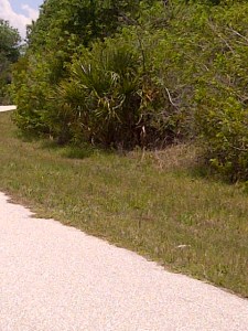 Grove City-Rotonda-20120523-00542